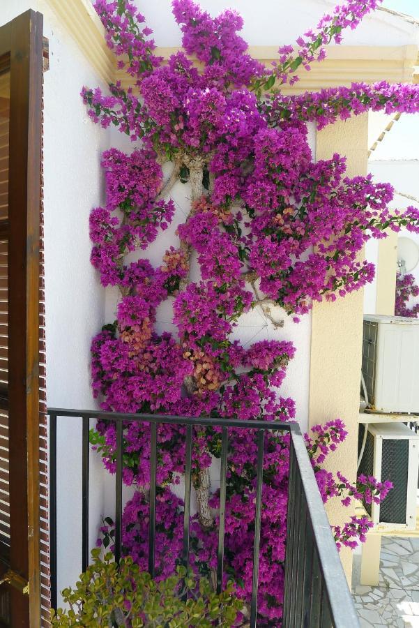 Sunny Coastal 1 Bed Apartment - Vera Coast: 2Mins To Beach Los Amarguillos Eksteriør billede